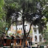 Outdoor seating area with trees and people at Atmosphere 251 café in Addis Ababa.
