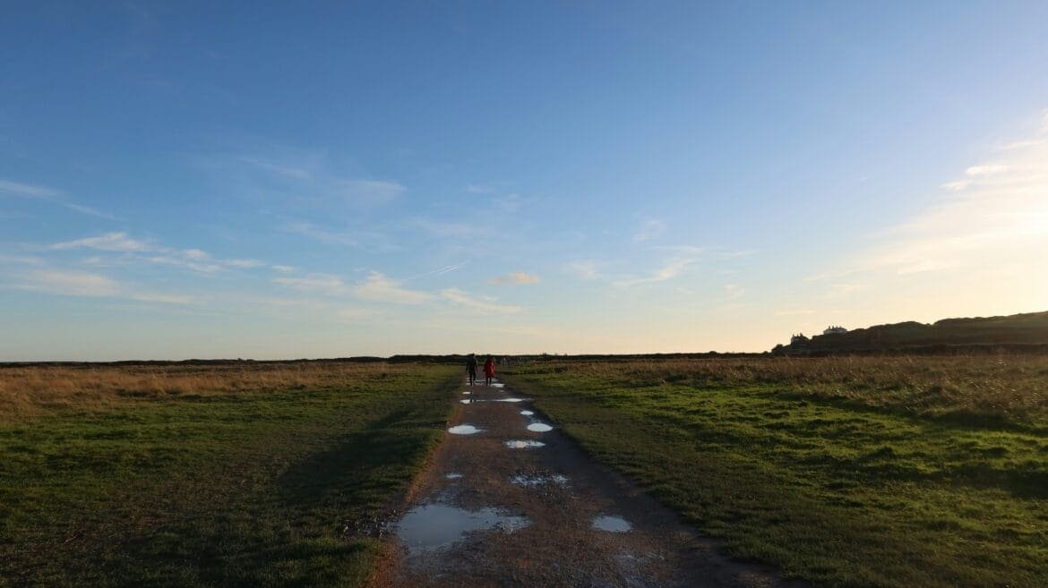 A bumpy path symbolizing a personal growth journey with ups and downs