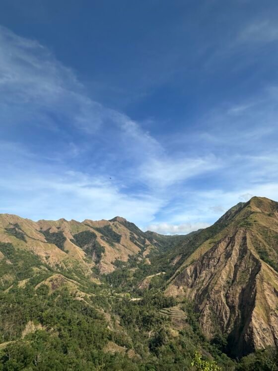 Healing Through Nature: Grounded in the Mountains
