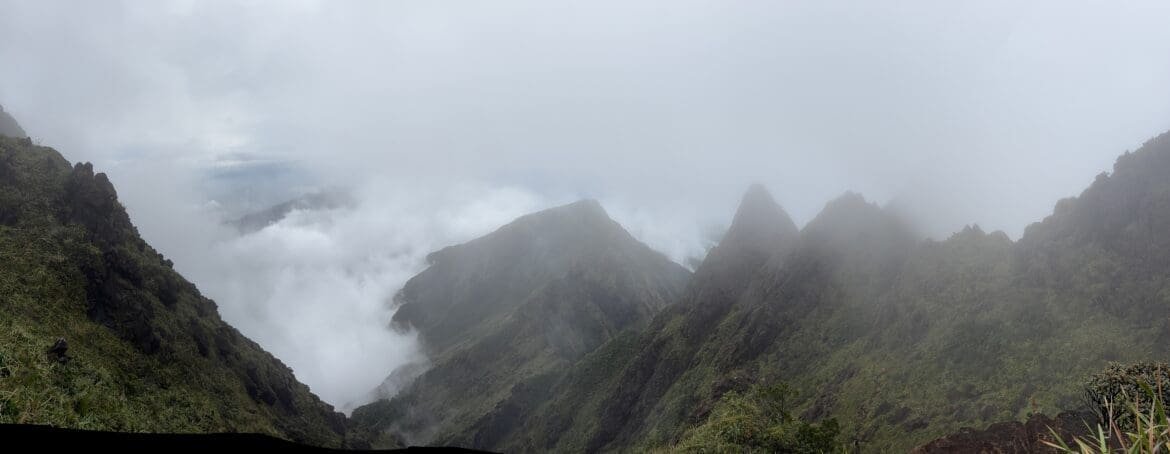 Cloud-shrouded summit of Mt. Guiting-Guiting with no visible view, reflecting the raw, untamed beauty of nature and the inner stillness of healing.