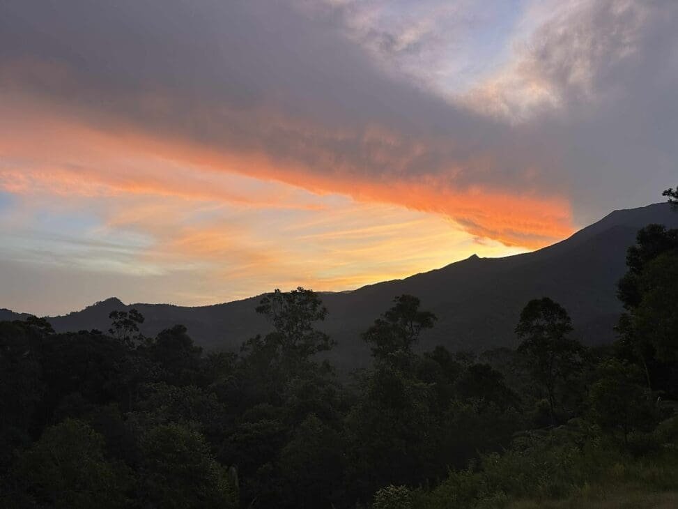 Sunset view from the Mt. Mantalingahan trail in Palawan, capturing the warm glow over mountain ridges—a serene reminder of healing and grounding through nature.