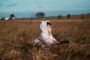 The Healing I Never Knew I Needed: Listening to My Inner Child