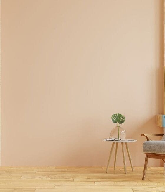 Web Story Day: Amazon Decor Must-Haves For Homes