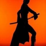 A black silhouette of a woman in a dynamic pose, holding a katana sword, set against a bright orange gradient background.