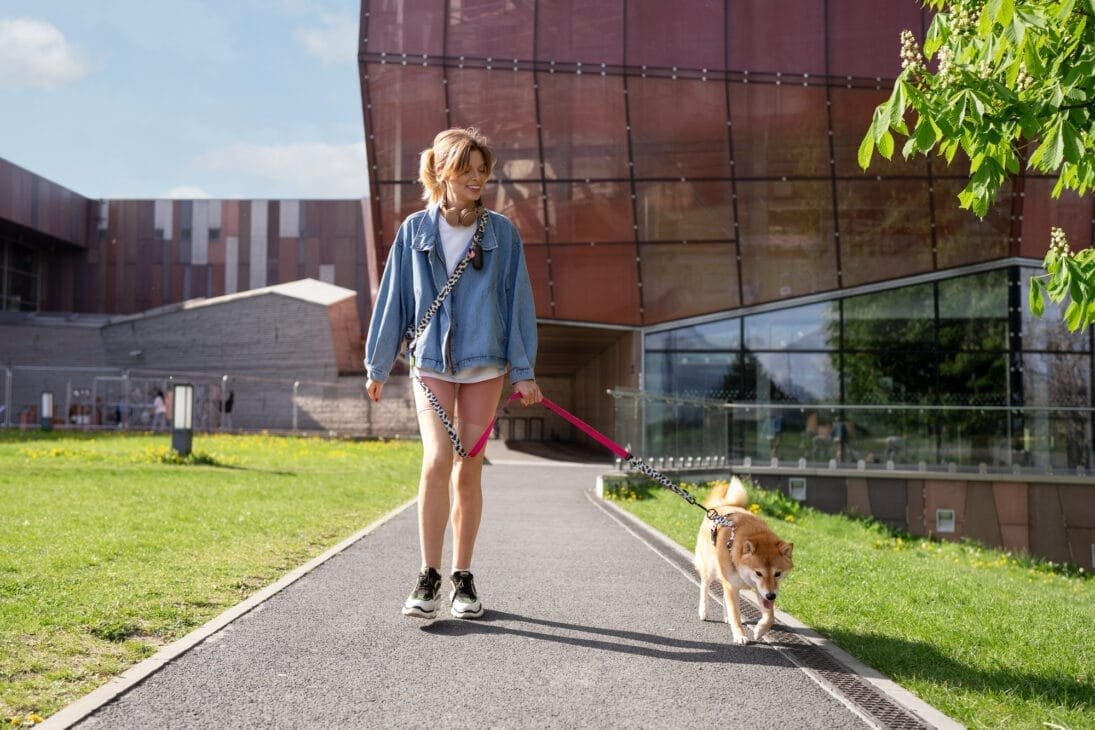 Morning walk benefits – anchor your day and reduce overthinking Morning walk benefits – anchor your day and reduce overthinking