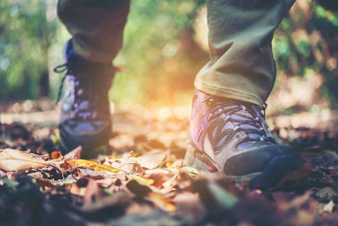 Morning walk benefits – balance stress hormones and reduce overthinking Morning walk benefits – balance stress hormones and reduce overthinking