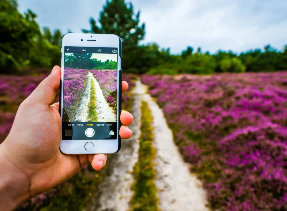 mindful photography capturing nature’s small details for stress relief and creativity
