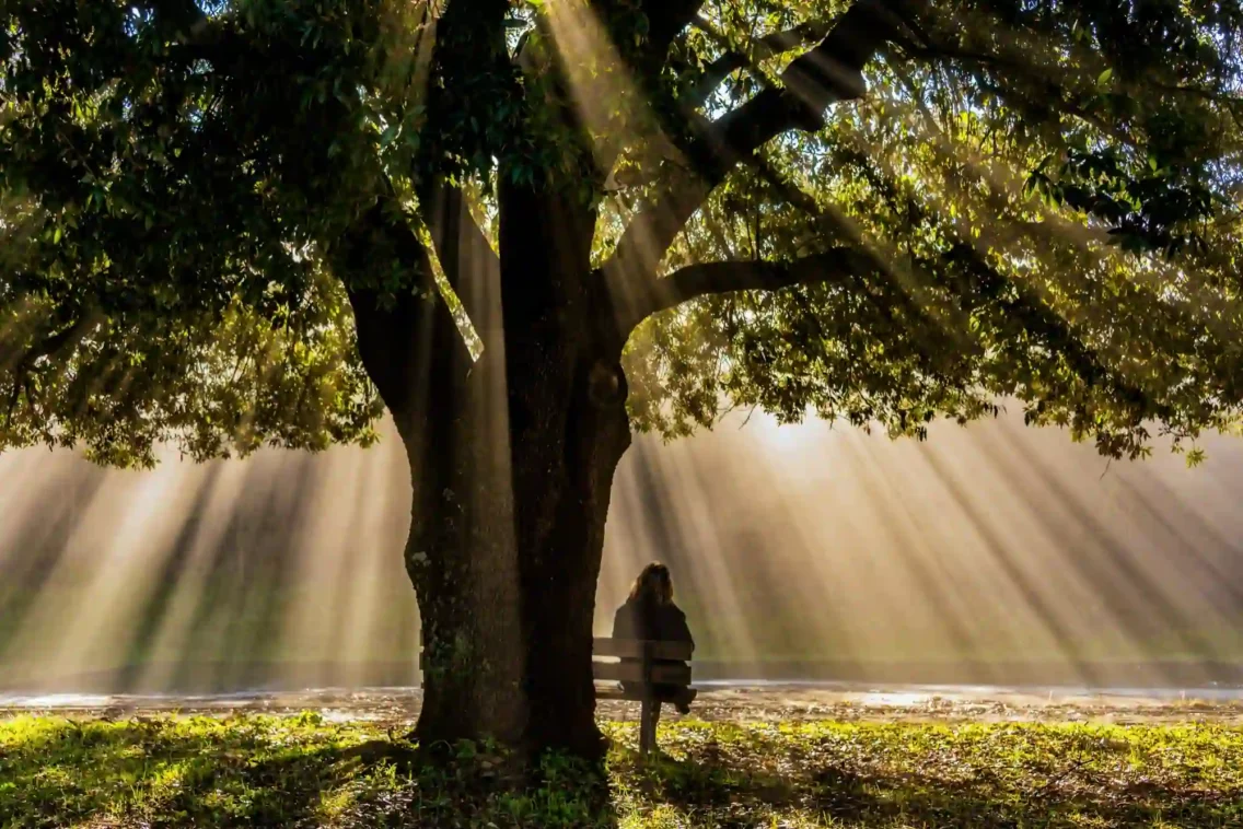 Your Gentle Adventure Guide: 10 Low-Energy Outdoor Activities