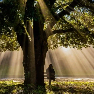 Creators Fleeing X: 6 Twitter Alternatives to Explore