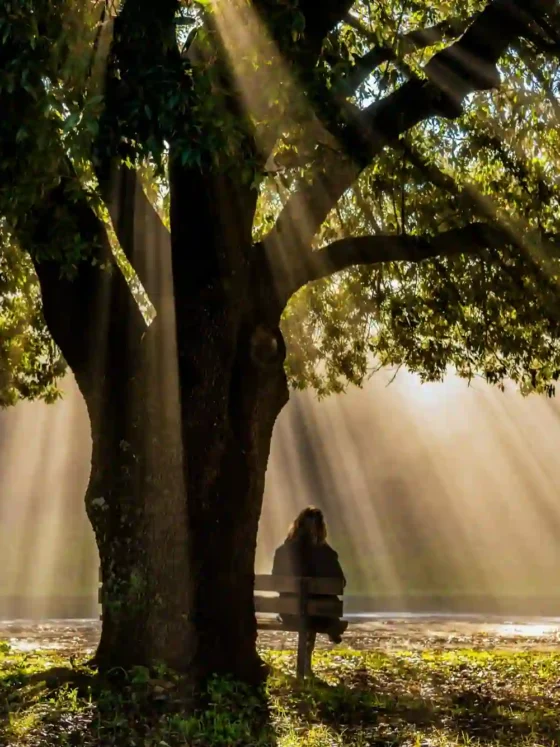 Your Gentle Adventure Guide: 10 Low-Energy Outdoor Activities