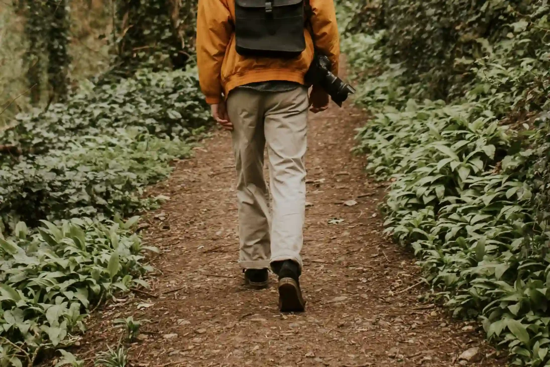 slow paced nature walk on leafy forest trail for gentle outdoor activity