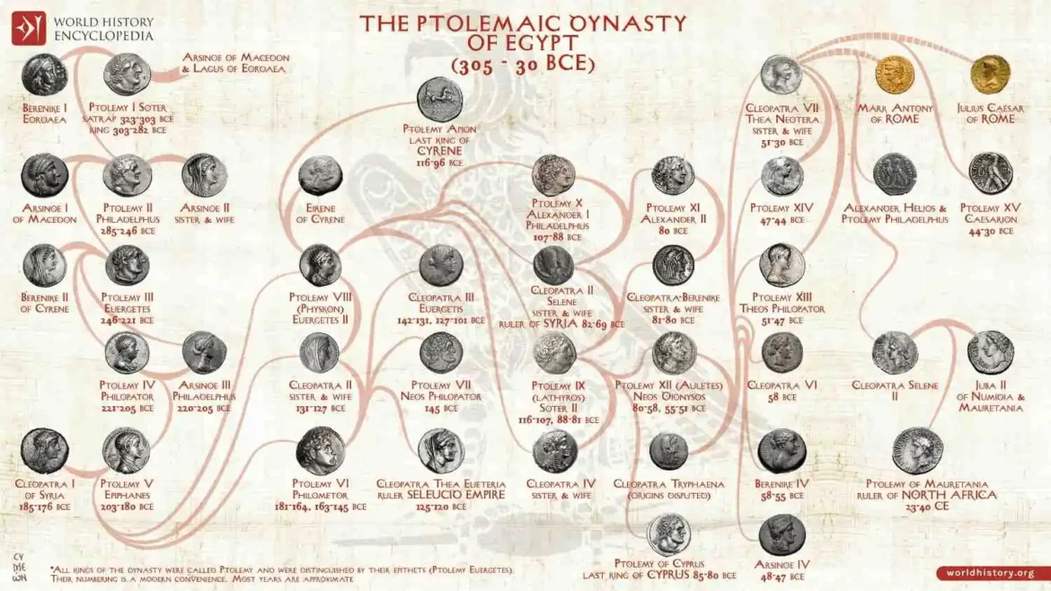 Family Tree of the Ptolemaic Dynasty of Egypt. You can see Queen Cleopatra in the upper left corner of the image, connected to two of Rome’s most powerful leaders, Julius Caesar and Mark Antony. Photo: World History