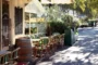 How to Enjoy Micro-Adventures Right in Your Own City