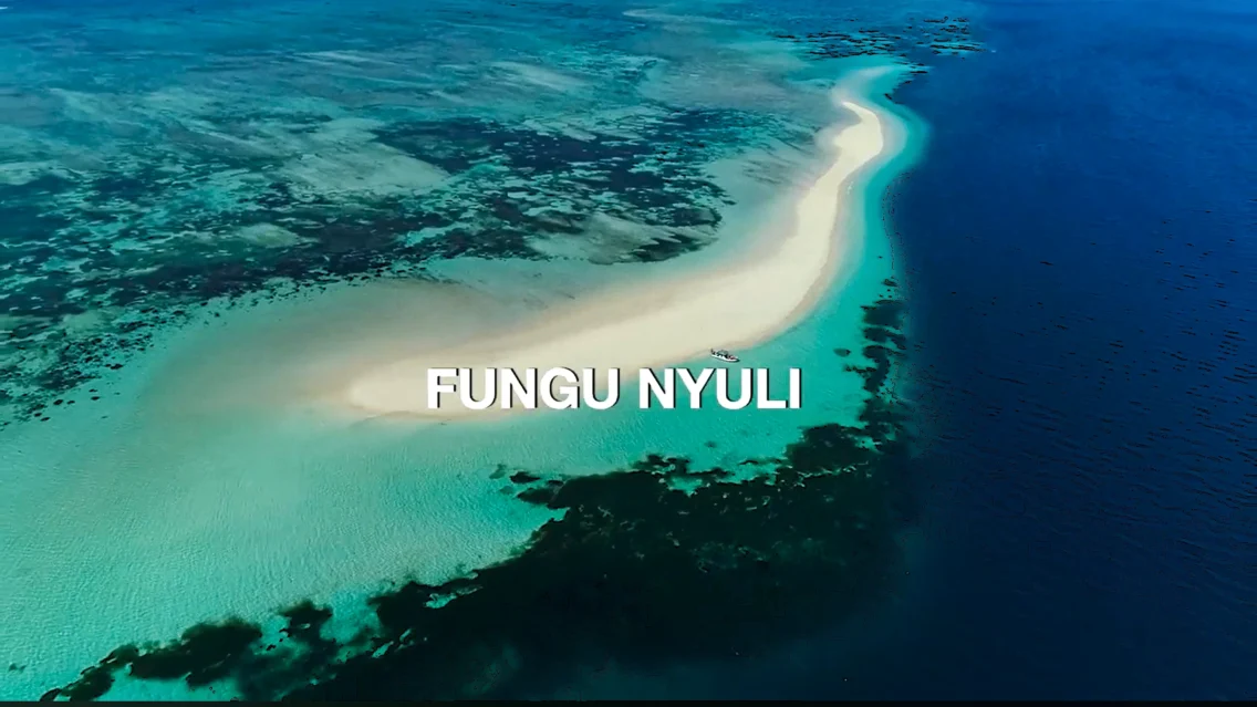Fungu Nyuli: The Disappearing Island Between Beauty & Grief
