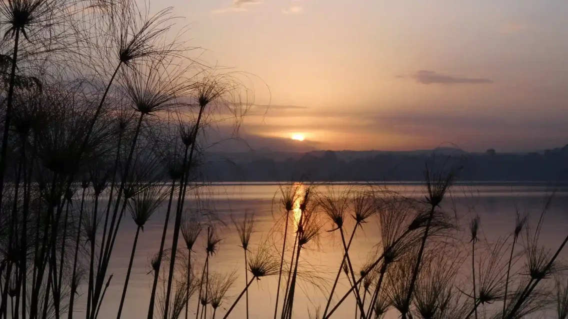 Lake Tana 2025: Monasteries, Boat Trips & Escapes