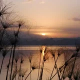 Sunset casting golden light across Lake Tana, Ethiopia’s largest lake, with calm waters reflecting the sky.