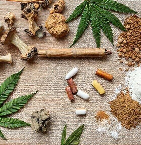 What Recreational Drugs Reveal About the Mind