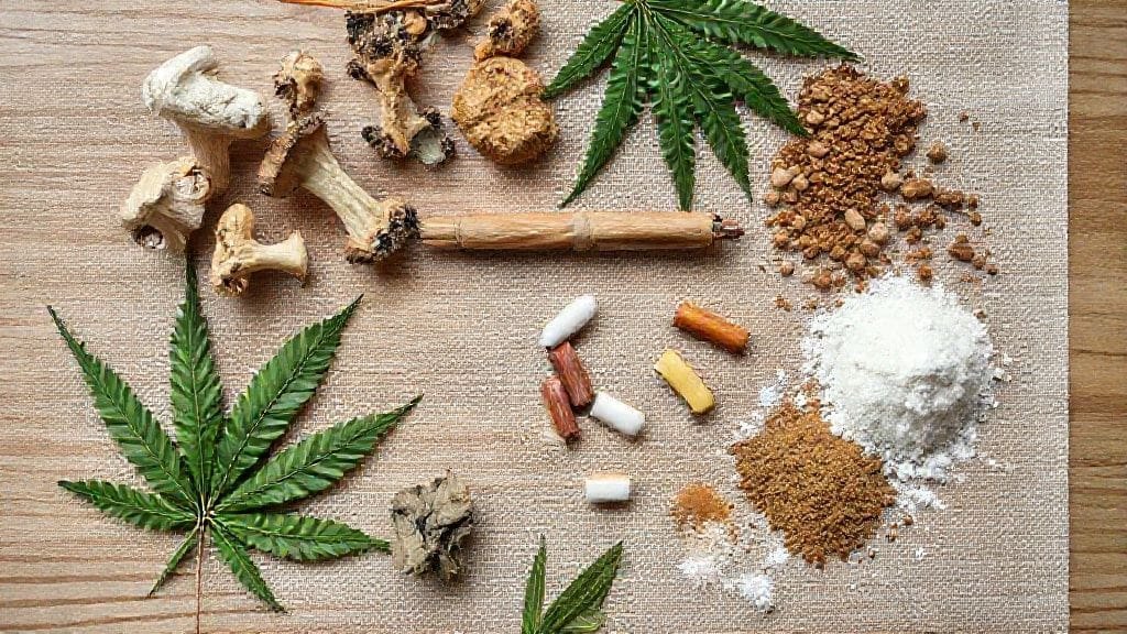 What Recreational Drugs Reveal About the Mind