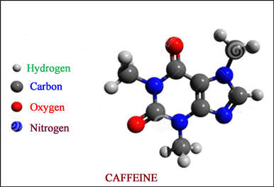 Illustration showing caffeine’s molecular structure and how it affects brain neurotransmitters.