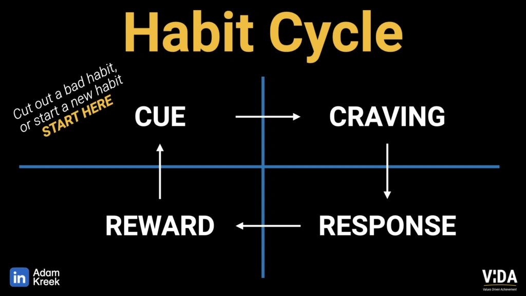 A diagram titled "The Habit cycle" showing a process central to how to stop procrastinating. The loop moves sequentially: 1. Cue (a stimulus or trigger) -> 2. Craving (desire a particular outcome) -> Response -> Reward (pleasure or relief), and back to the Cue.