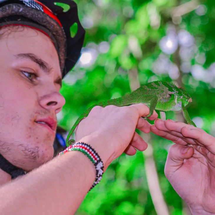 A tourist wearing biking gear on a hiking bike rides along a forested trail in the Usambara mountains, holding a chameleon perched on his hand.