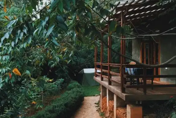 A lush, verdant setting with a wooden veranda and tropical greenery inusambara mountains, Lushoto Pazuri.
