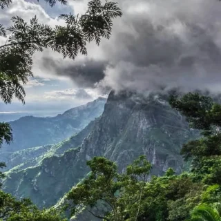 A Month in Mombasa: My Unforgettable Travel Story