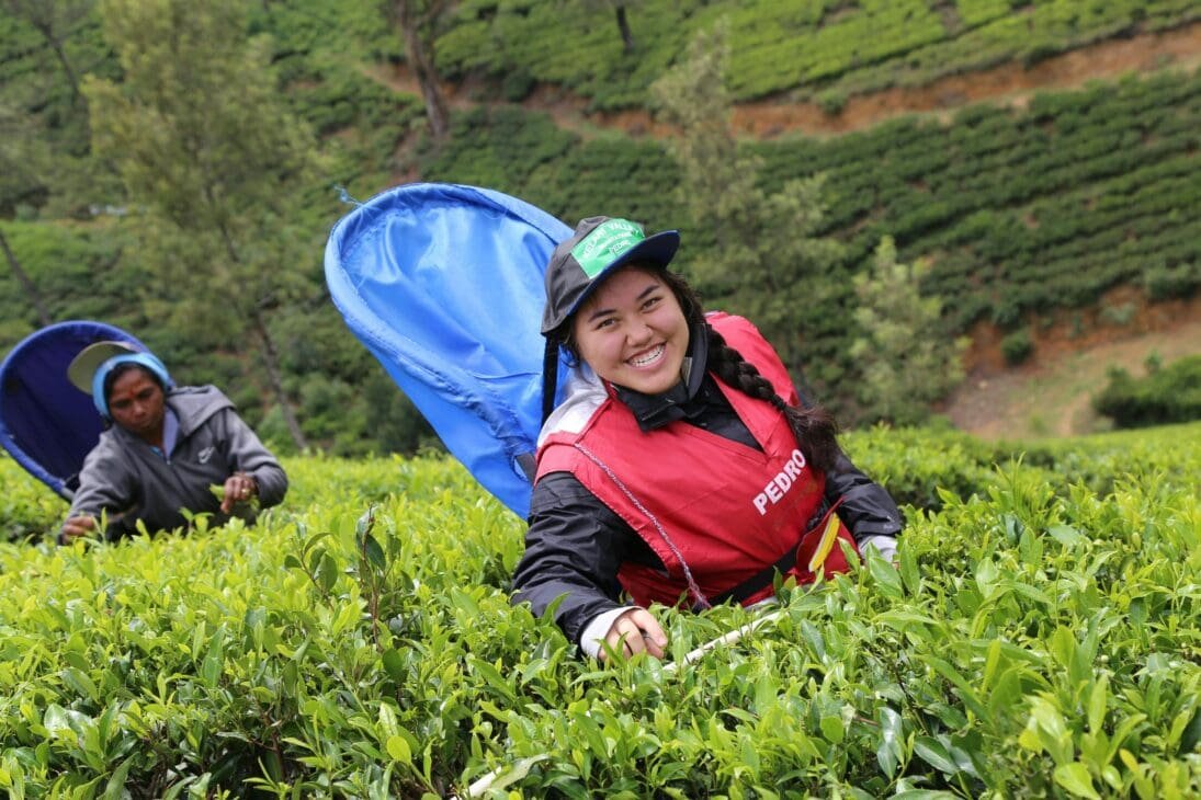 Gen Z travelers participating in a community-based work exchange, gardening alongside locals with shared tools and sunlight over green rows of plants.