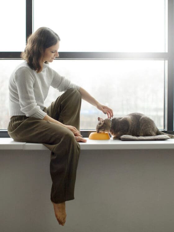 Learning to Love Your Own Company Without the Guilt