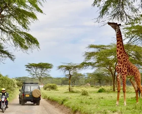 The Most Affordable Digital Nomad Destinations in Africa