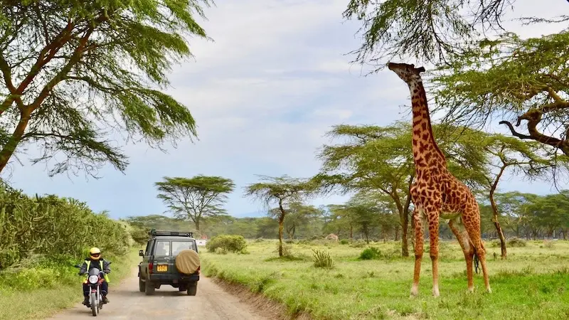 The Most Affordable Digital Nomad Destinations in Africa