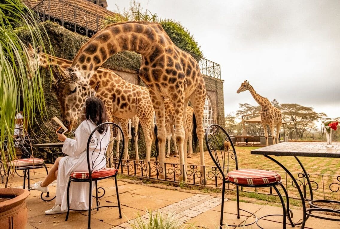Zen Quest: What to Expect at an East African Wellness Retreat