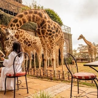 Romantic Escapes: 10 Best Luxury Wellness Resorts in Uganda