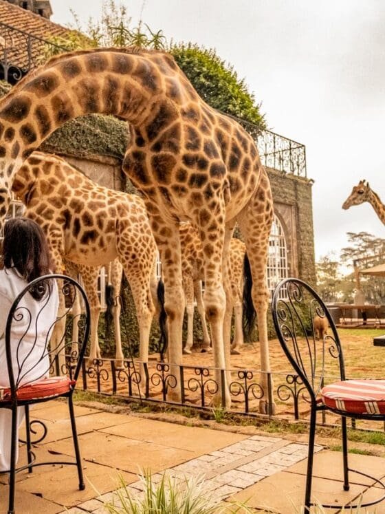Zen Quest: What to Expect at an East African Wellness Retreat
