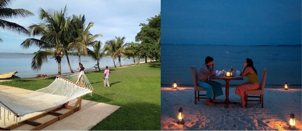 A tranquil beach scene at Pineapple Bay Resort on Bulago Island with tan sand, swaying palm trees, and the clear blue horizon of Lake Victoria.
