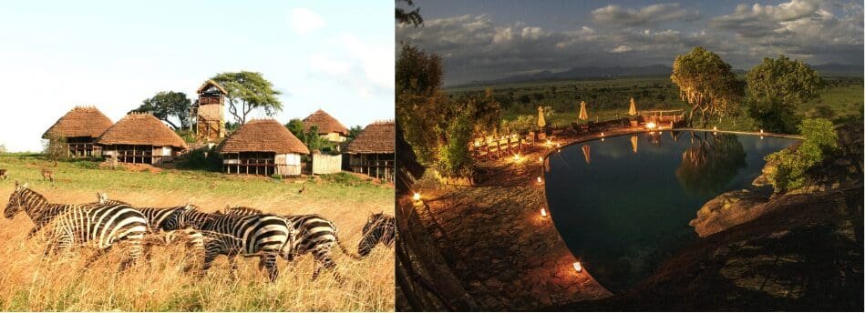 A composite image of Apoka Safari Lodge featuring zebras grazing near traditional thatched cottages on the left, and a lit-up luxury infinity pool under a starry night sky on the right.