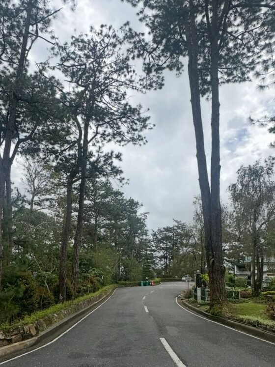 Local Experiences Philippines: Baguio City’s Uphill Truths