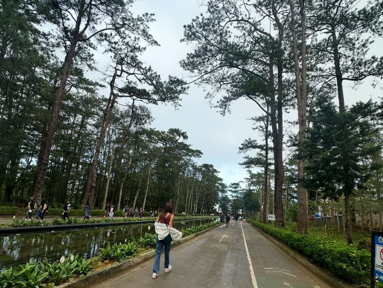 Wide view of Wright Park’s Pool of Pines with horse riders and pine trees lining the uphill pathways