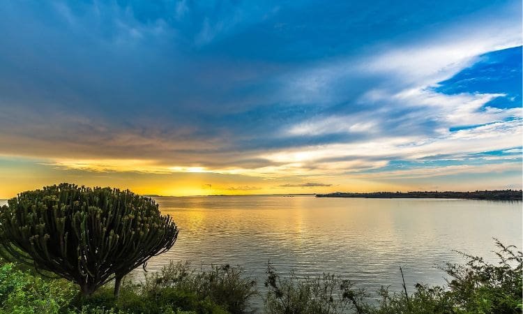 A wide, bright blue river flowing through lush green wetlands and small islands under a clear morning sky.