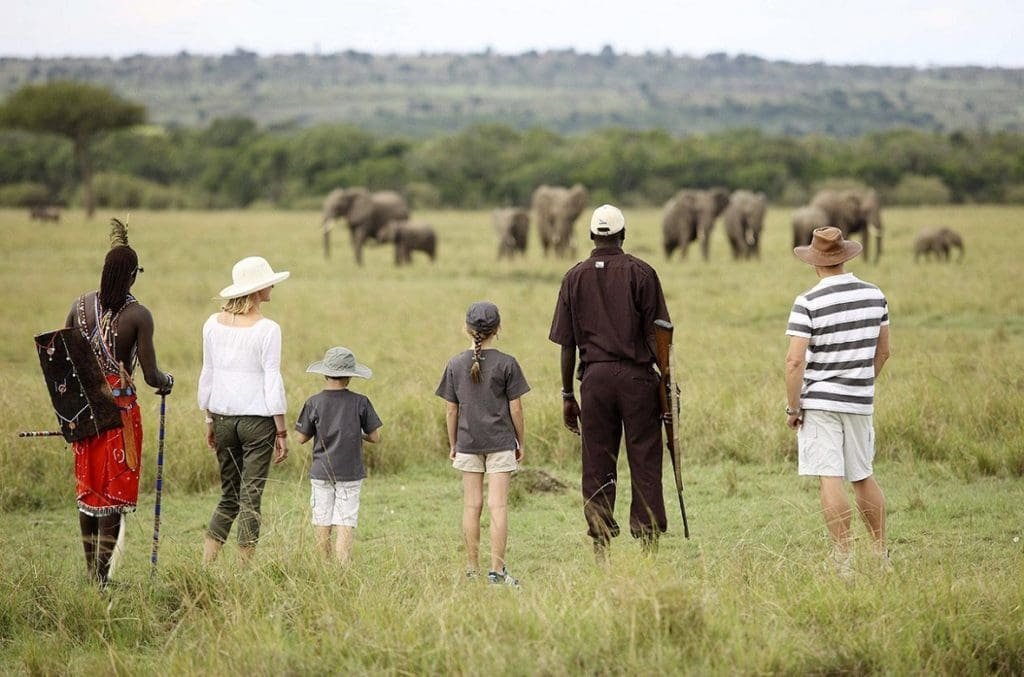 Maasai guide walking with tourists through the Mara bush, observing wildlife tracks.