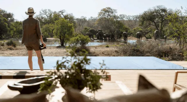Traveler in a luxury safari lodge observing elephants in the East African savannah.