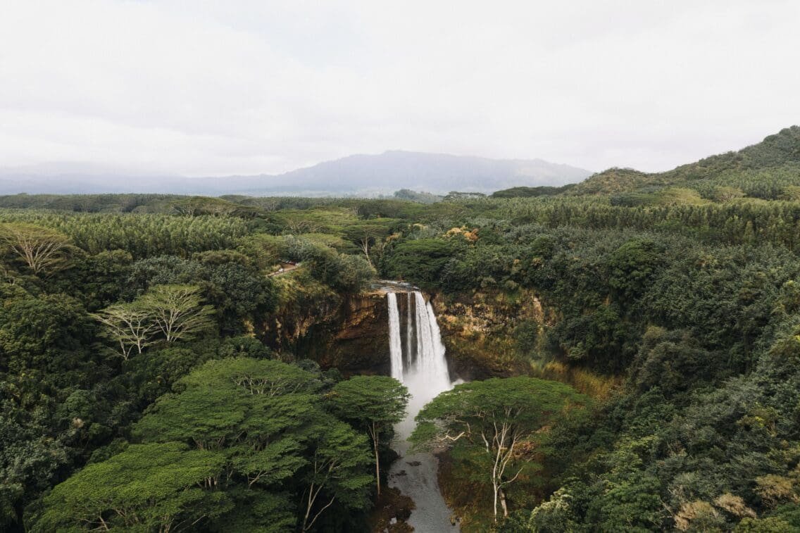 Uganda Luxury Travel: A New Wellness Destination