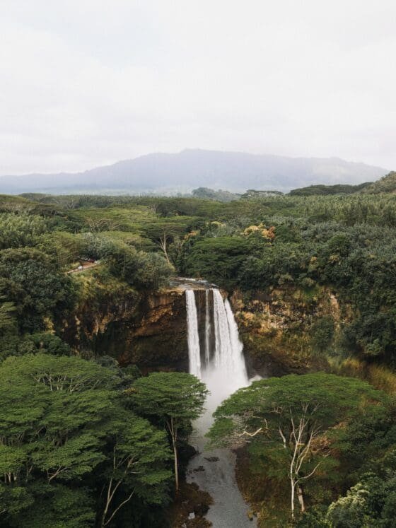 Uganda Luxury Travel: A New Wellness Destination