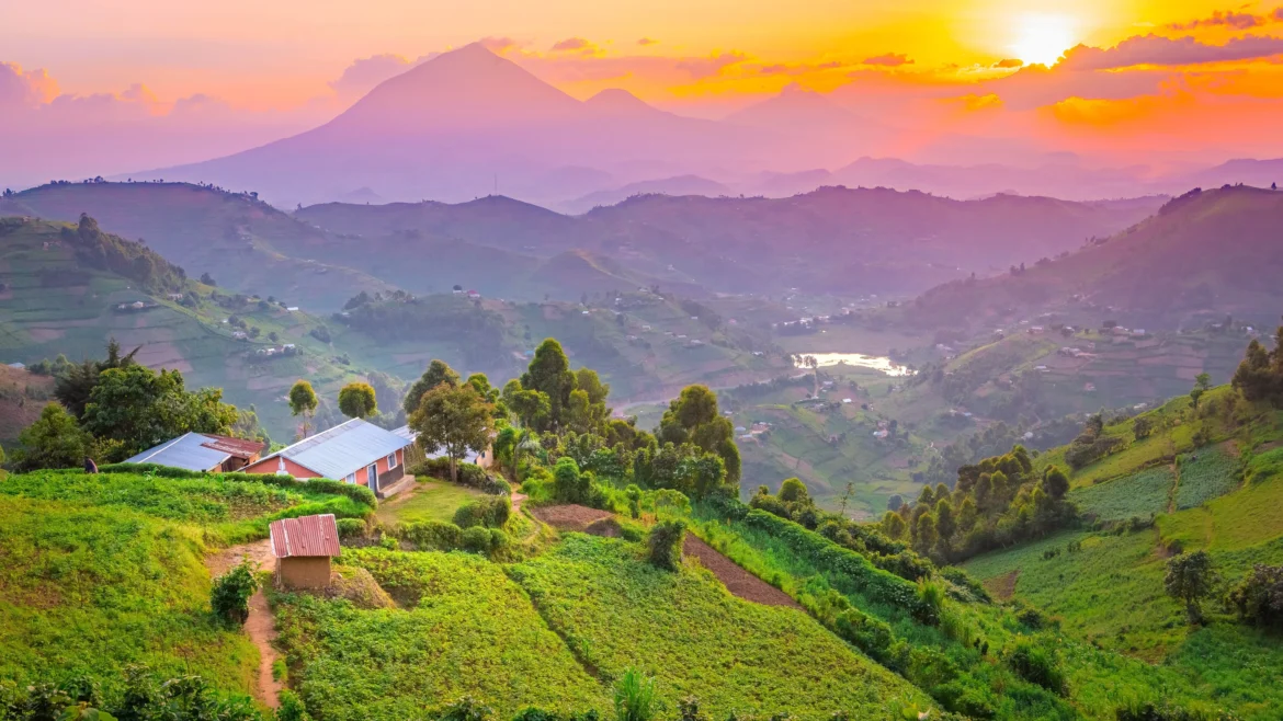 Scenic overview of Uganda’s hills, wetlands, and forests, highlighting its natural, low-density environments for eco and wellness travel.